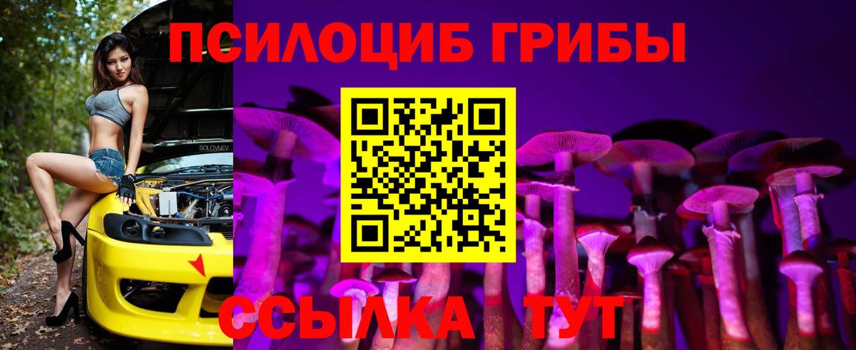 Галлюциногенные грибы прущие грибы  Вход с VPN  Туапсе 